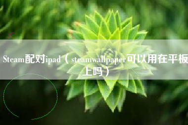 Steam配对ipad（steamwallpaper可以用在平板上吗）