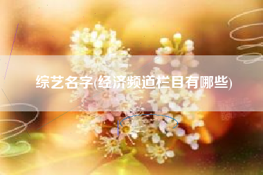 综艺名字(经济频道栏目有哪些)