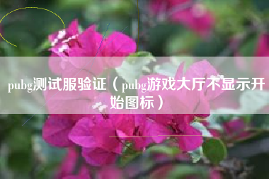 pubg测试服验证（pubg游戏大厅不显示开始图标）