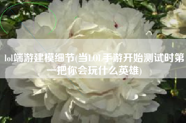 lol端游建模细节(当LOL手游开始测试时第一把你会玩什么英雄)