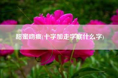 甜蜜吻痕(十字加走字底什么字)