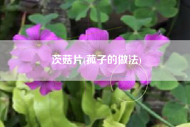 茨菇片(菰子的做法)