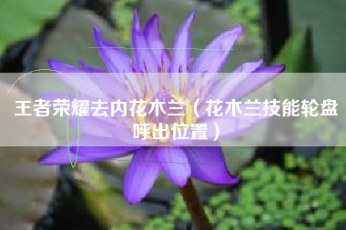 王者荣耀去内花木兰（花木兰技能轮盘呼出位置）