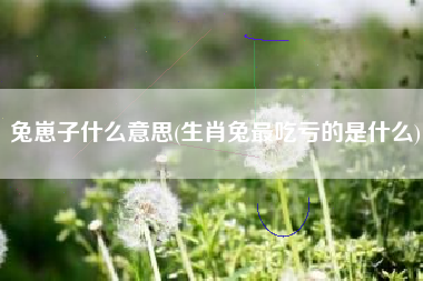 兔崽子什么意思(生肖兔最吃亏的是什么)