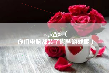 csgo要88（
你们电脑都装了哪些游戏呢）