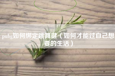 pubg如何绑定跳舞键（如何才能过自己想要的生活）