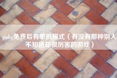 pubg免费后有单机模式（有没有那种别人不知道却很厉害的游戏）