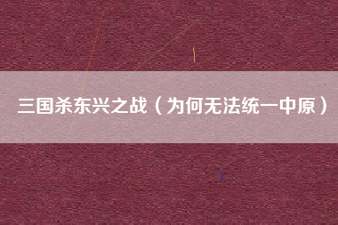 三国杀东兴之战（为何无法统一中原）