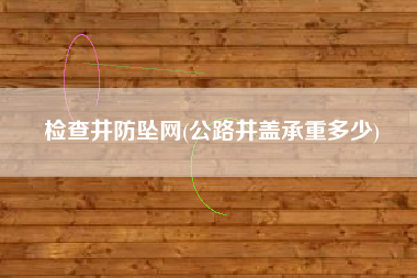 检查井防坠网(公路井盖承重多少)