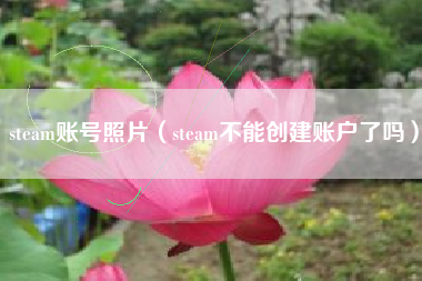 steam账号照片（steam不能创建账户了吗）