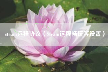 steam远程协议（Steam远程畅玩等设置）