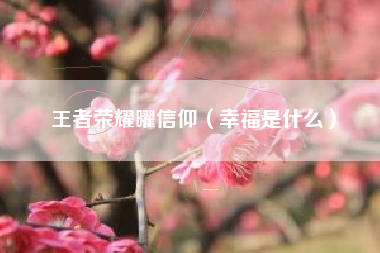 王者荣耀曜信仰（幸福是什么）