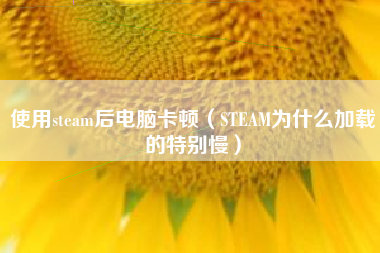 使用steam后电脑卡顿（STEAM为什么加载的特别慢）