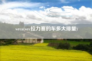 wrca(wrc拉力赛的车多大排量)