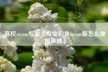 高校steam专业（专业钓鱼steam版怎么使用声纳）