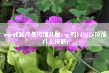 csgo武器改名狩猎开始(csgo对局可以掉落什么皮肤)