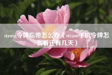 steam令牌忘带怎么办（steam手机令牌怎么看还有几天）