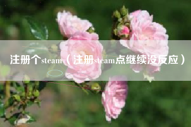 注册个steam（注册steam点继续没反应）