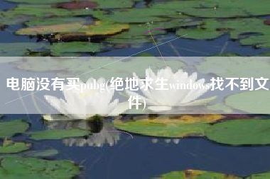 电脑没有买pubg(绝地求生windows找不到文件)