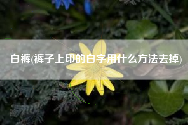 白裤(裤子上印的白字用什么方法去掉)