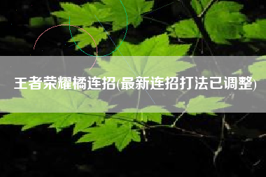 王者荣耀橘连招(最新连招打法已调整)