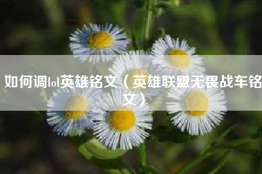 如何调lol英雄铭文（英雄联盟无畏战车铭文）