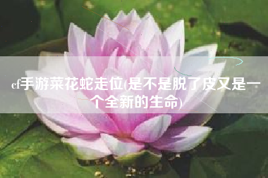 cf手游菜花蛇走位(是不是脱了皮又是一个全新的生命)