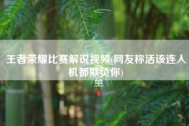 王者荣耀比赛解说视频(网友称活该连人机都欺负你)