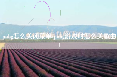 pubg怎么关闭菜单(pubg游戏时怎么关歌曲)