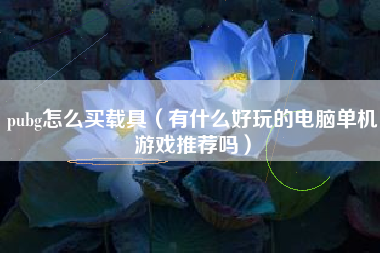 pubg怎么买载具（有什么好玩的电脑单机游戏推荐吗）