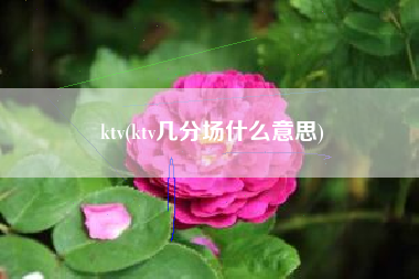 ktv(ktv几分场什么意思)