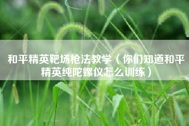 和平精英靶场枪法教学（你们知道和平精英纯陀螺仪怎么训练）