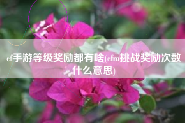 cf手游等级奖励都有啥(cfm挑战奖励次数什么意思)