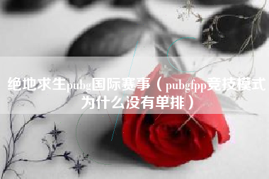 绝地求生pubg国际赛事（pubgfpp竞技模式为什么没有单排）