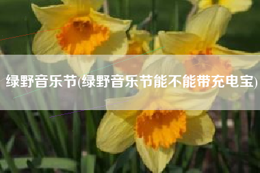 绿野音乐节(绿野音乐节能不能带充电宝)