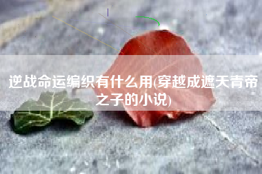 逆战命运编织有什么用(穿越成遮天青帝之子的小说)