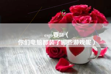 csgo要88（
你们电脑都装了哪些游戏呢）