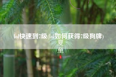 lol快速到7级(lol如何获得7级狗牌)