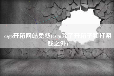 csgo开箱网站免费(csgo除了开箱子和打游戏之外)