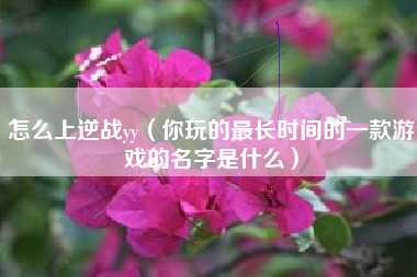 怎么上逆战yy（你玩的最长时间的一款游戏的名字是什么）