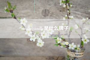 sandle(sandle是什么牌子)