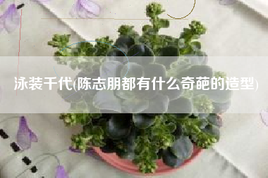 泳装千代(陈志朋都有什么奇葩的造型)