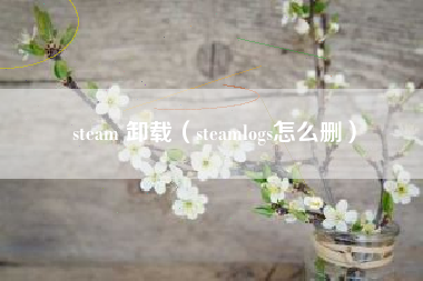 steam 卸载（steamlogs怎么删）