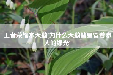 王者荣耀水天鹅(为什么天鹅彗星冒着渗人的绿光)