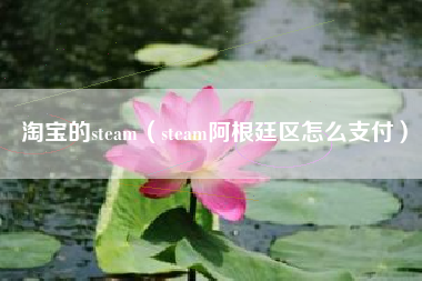 淘宝的steam（steam阿根廷区怎么支付）