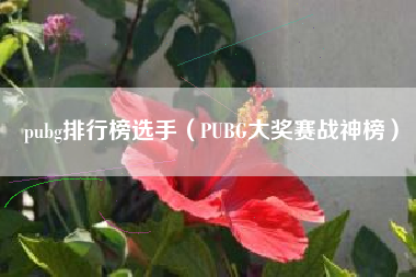 pubg排行榜选手（PUBG大奖赛战神榜）