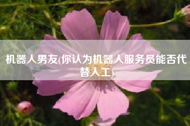 机器人男友(你认为机器人服务员能否代替人工)