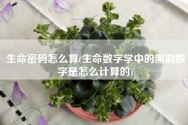 生命密码怎么算(生命数字学中的黑洞数字是怎么计算的)