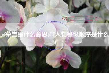 cf荣誉是什么意思(CF人物等级顺序是什么)