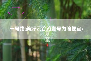 一号路(美好云谷路壹号为啥便宜)